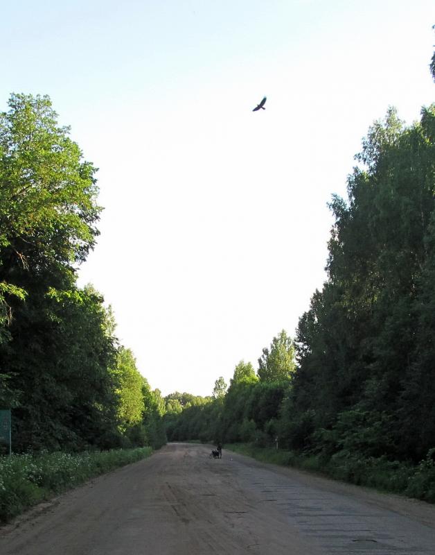 122_6.jpg