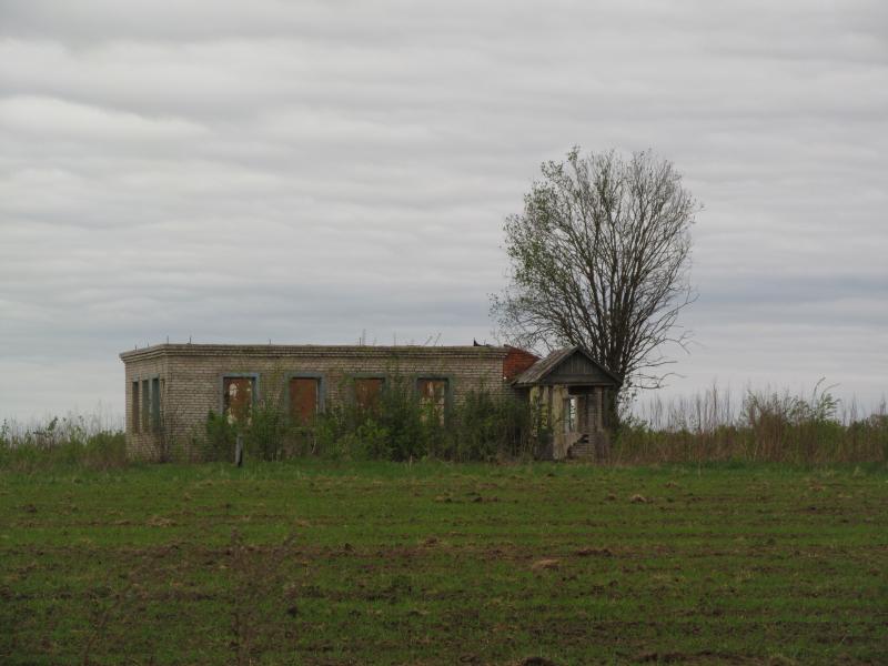 IMG_8354_2.jpg