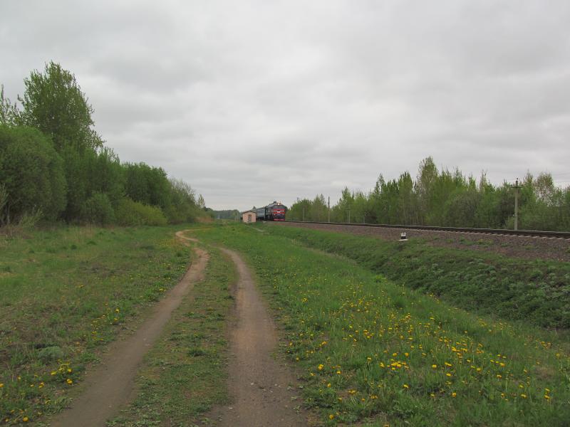 IMG_8402_3.jpg