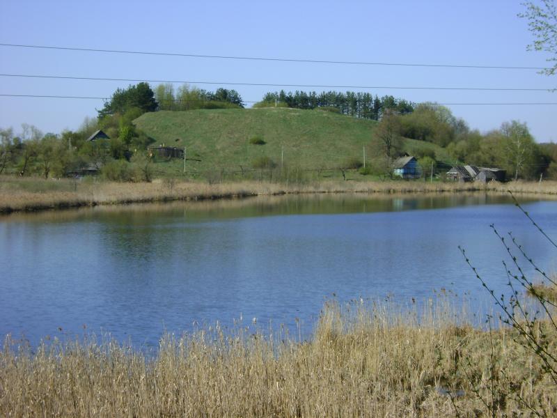 DSC02869.jpg