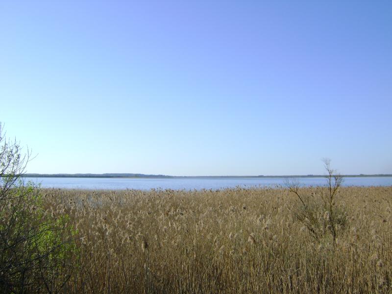 DSC02893_2.jpg
