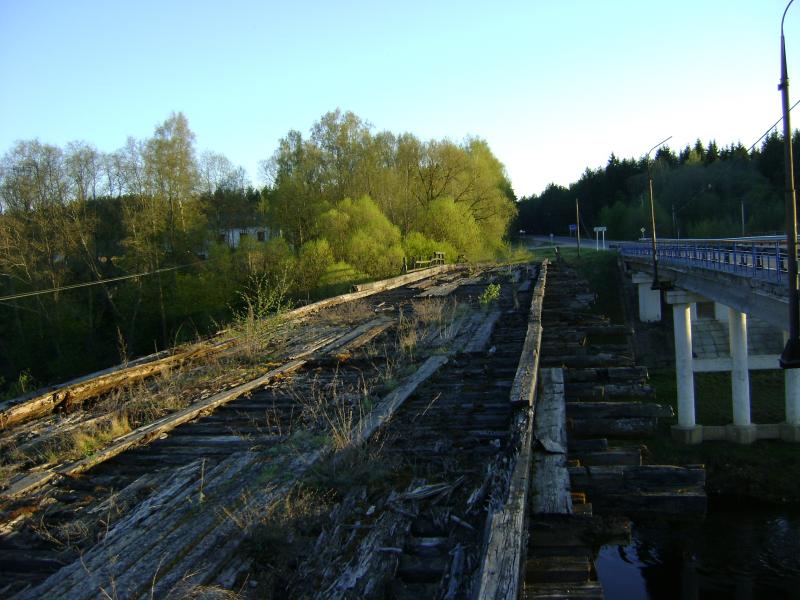 DSC02905.jpg