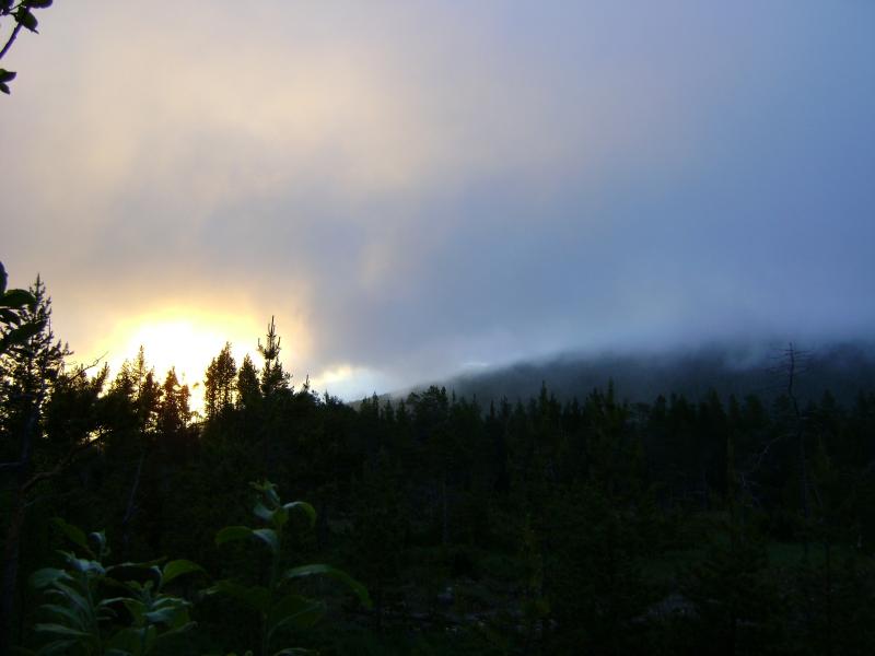 DSC03438.jpg
