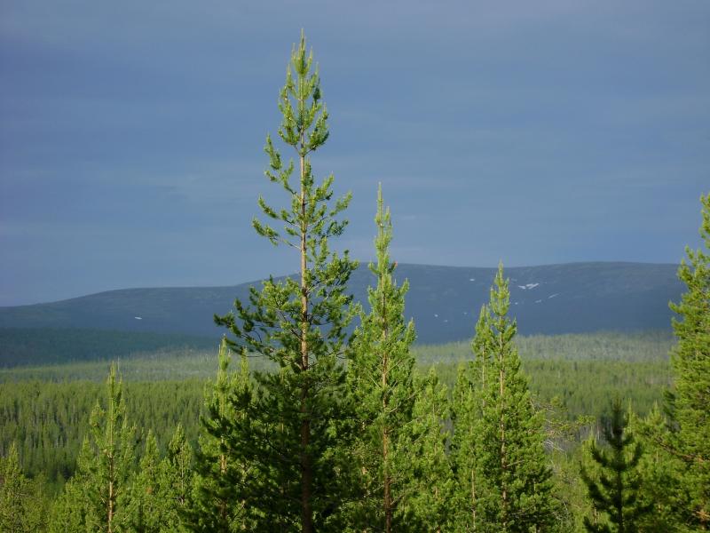 DSC03455.jpg