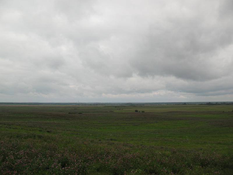 IMG_6828_2.jpg