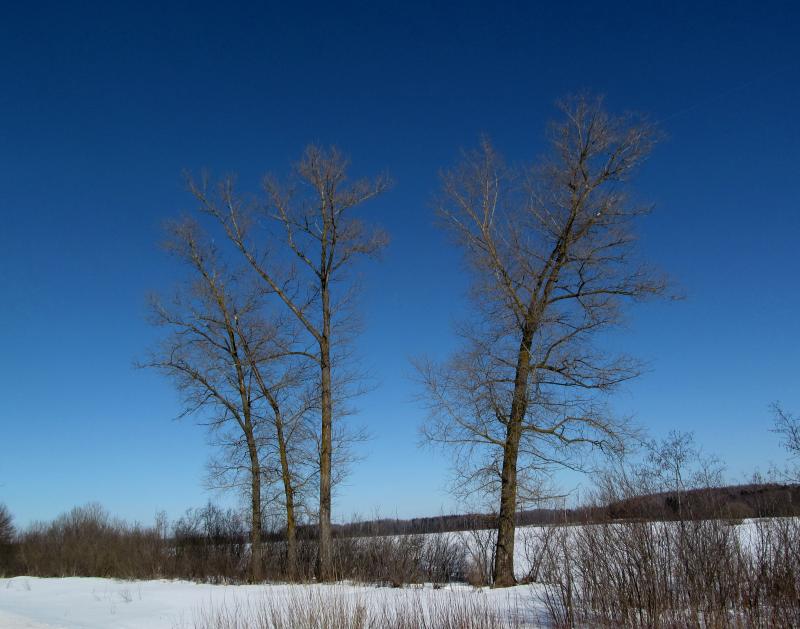 IMG_1735.jpg