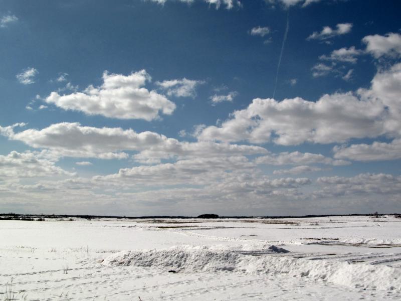 IMG_2126_2.jpg