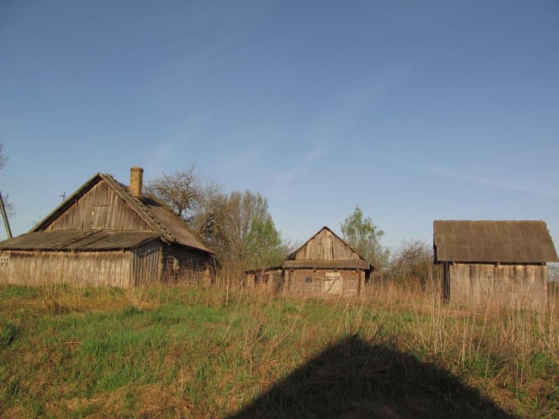 IMG_2467.jpg