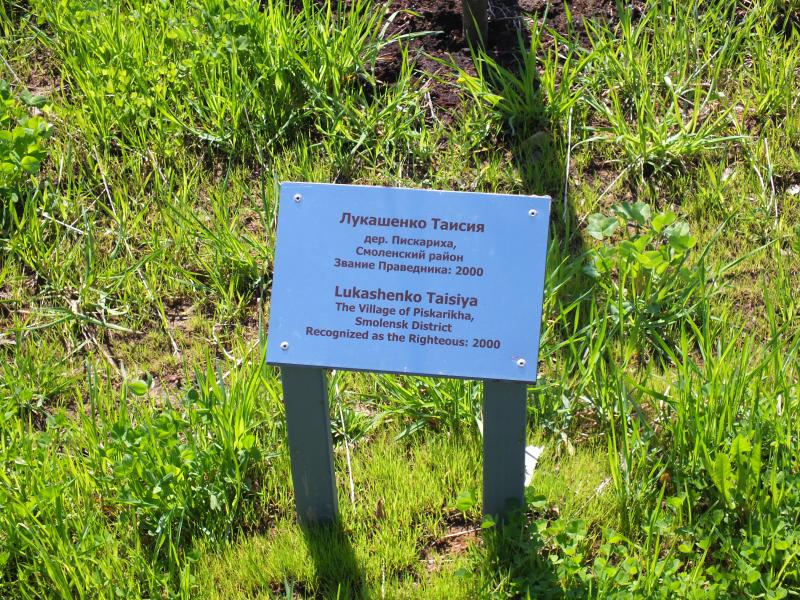 DSCF5525.jpg