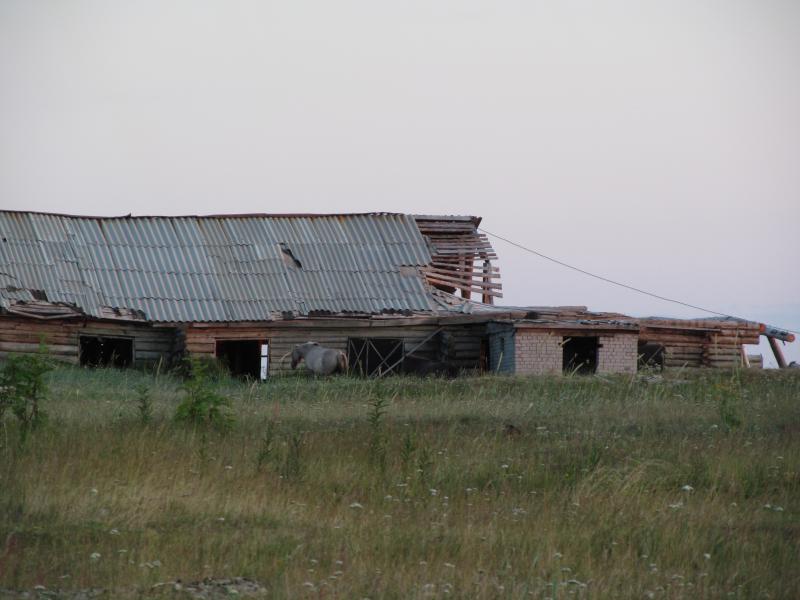 IMG_3405.jpg