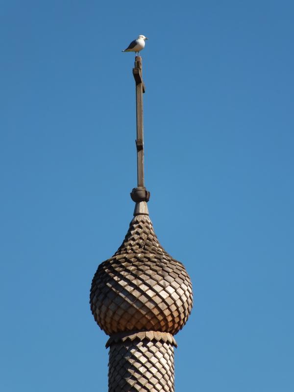 DSCF6839.jpg
