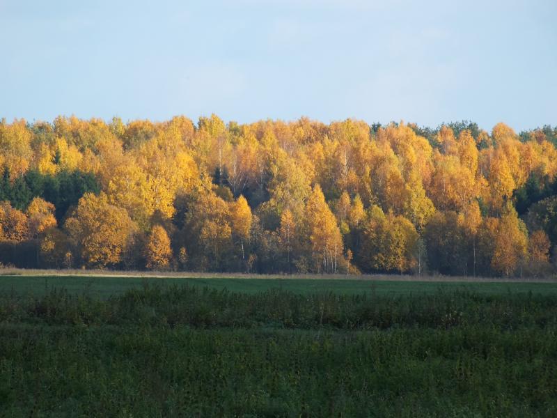DSCF8243.jpg