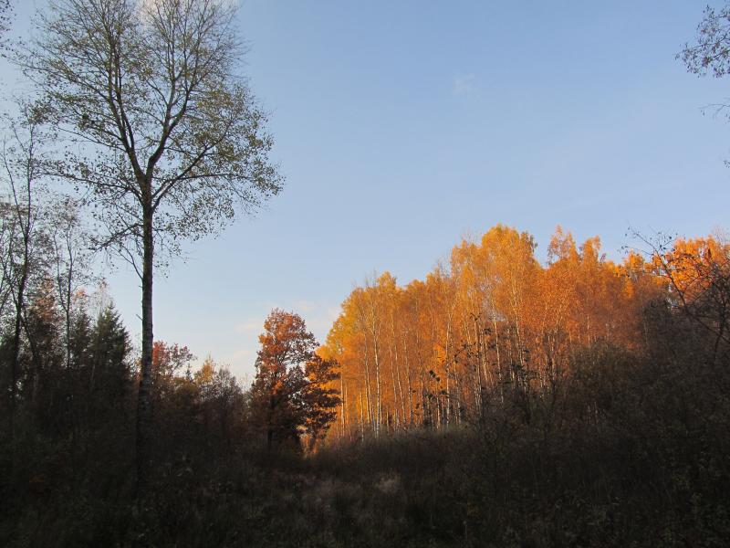 IMG_4567.jpg