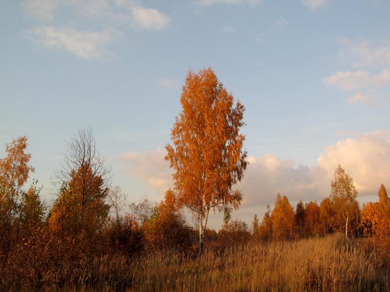 IMG_4575.jpg