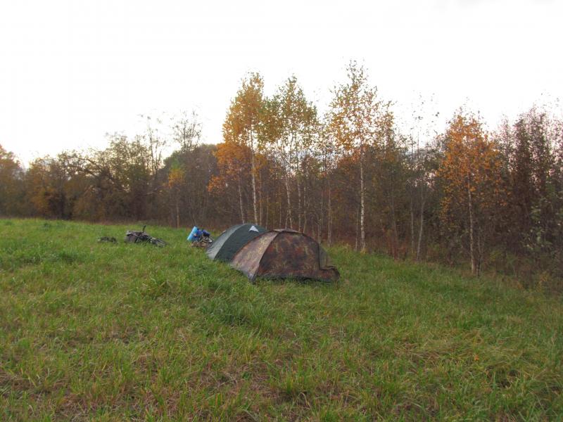 IMG_4580.jpg