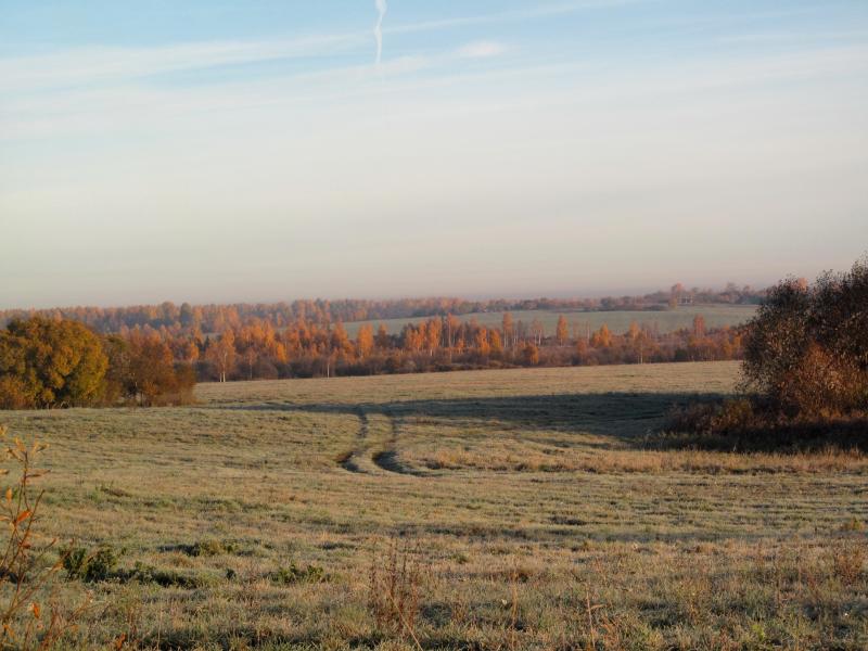 IMG_4585.jpg