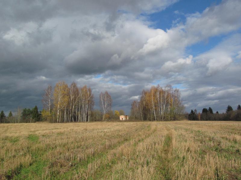 IMG_4687_3.jpg