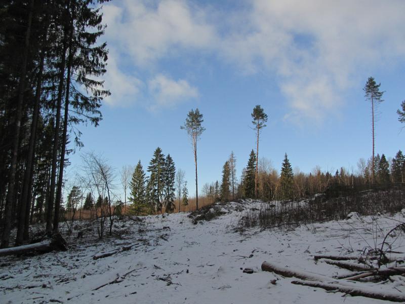 IMG_4838.jpg