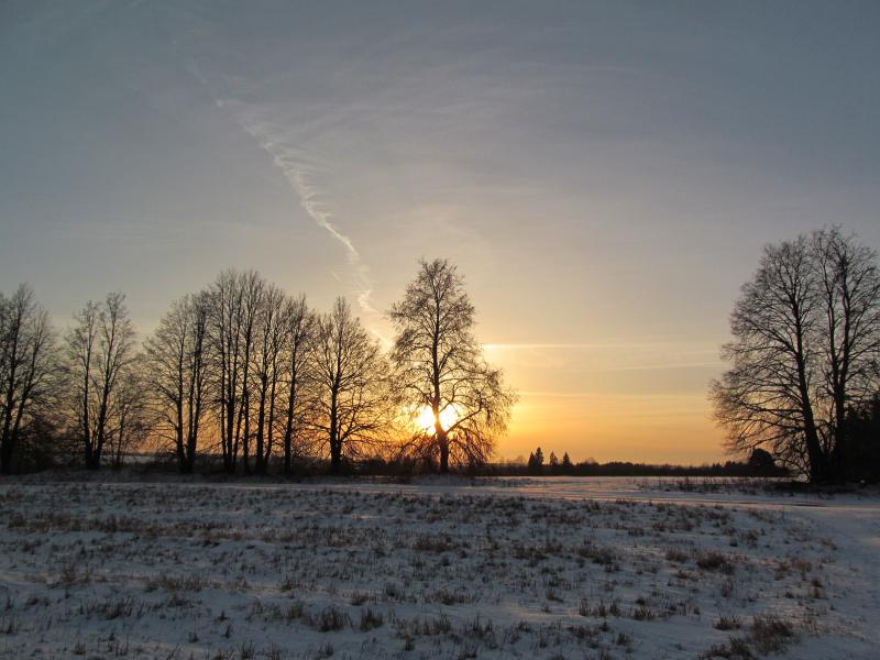 IMG_5200.jpg