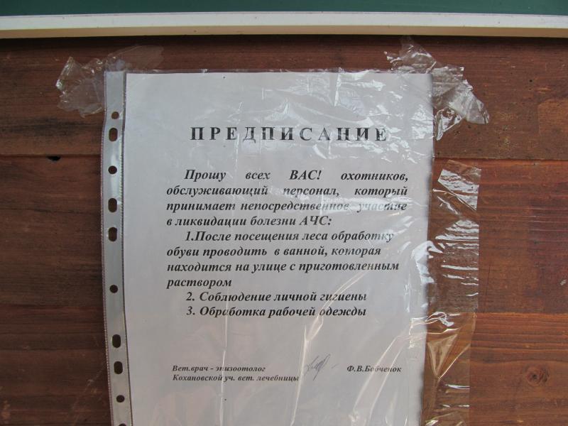IMG_5431_3.jpg