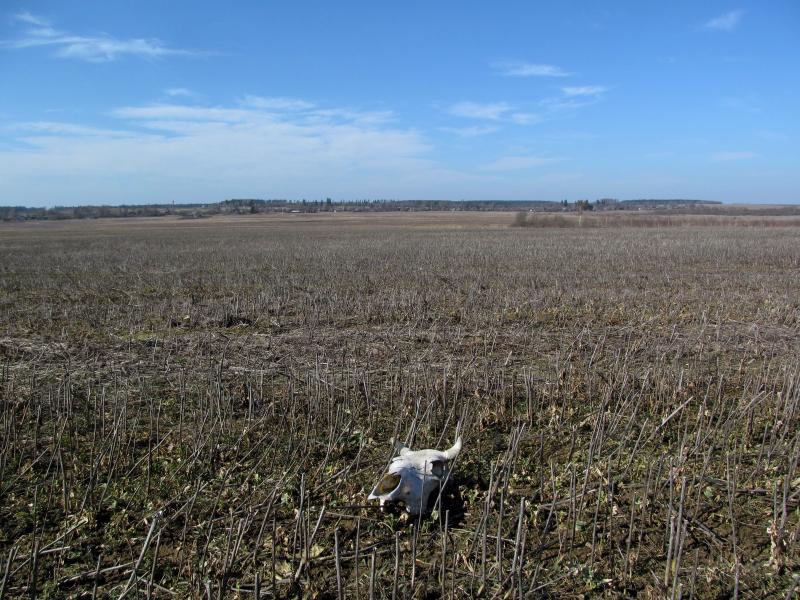 IMG_5496_3.jpg