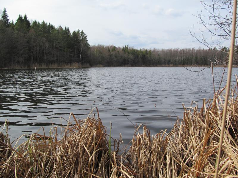 IMG_5564_2.jpg