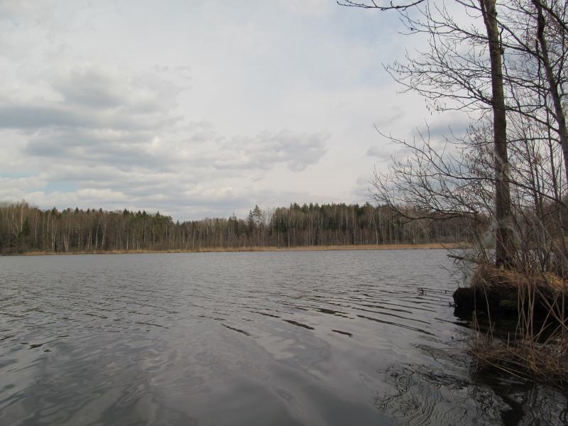 IMG_5586_2.jpg