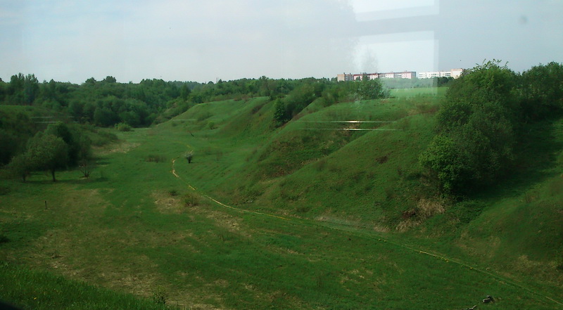 DSC_3733.JPG