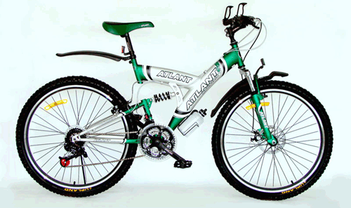 ashan_bike3.gif
