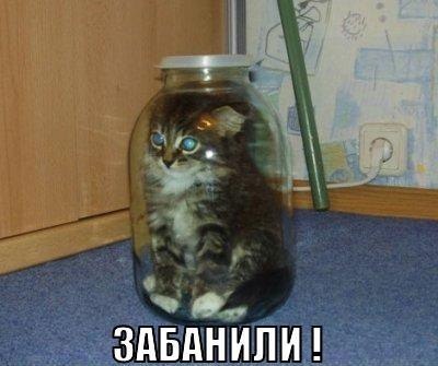 1Z5EzavvyKA.jpg