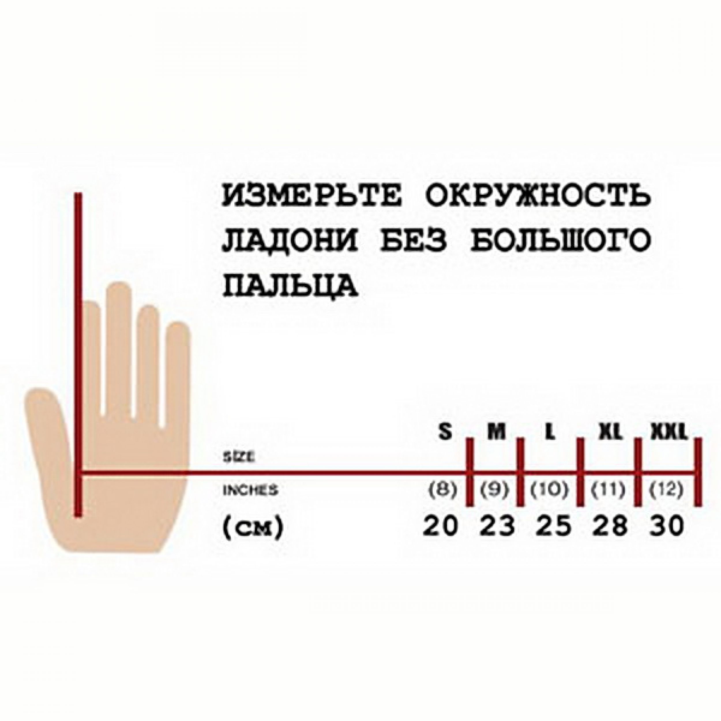 длина члена и пальцы рук фото 5