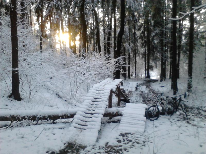 DSC_1015.jpg