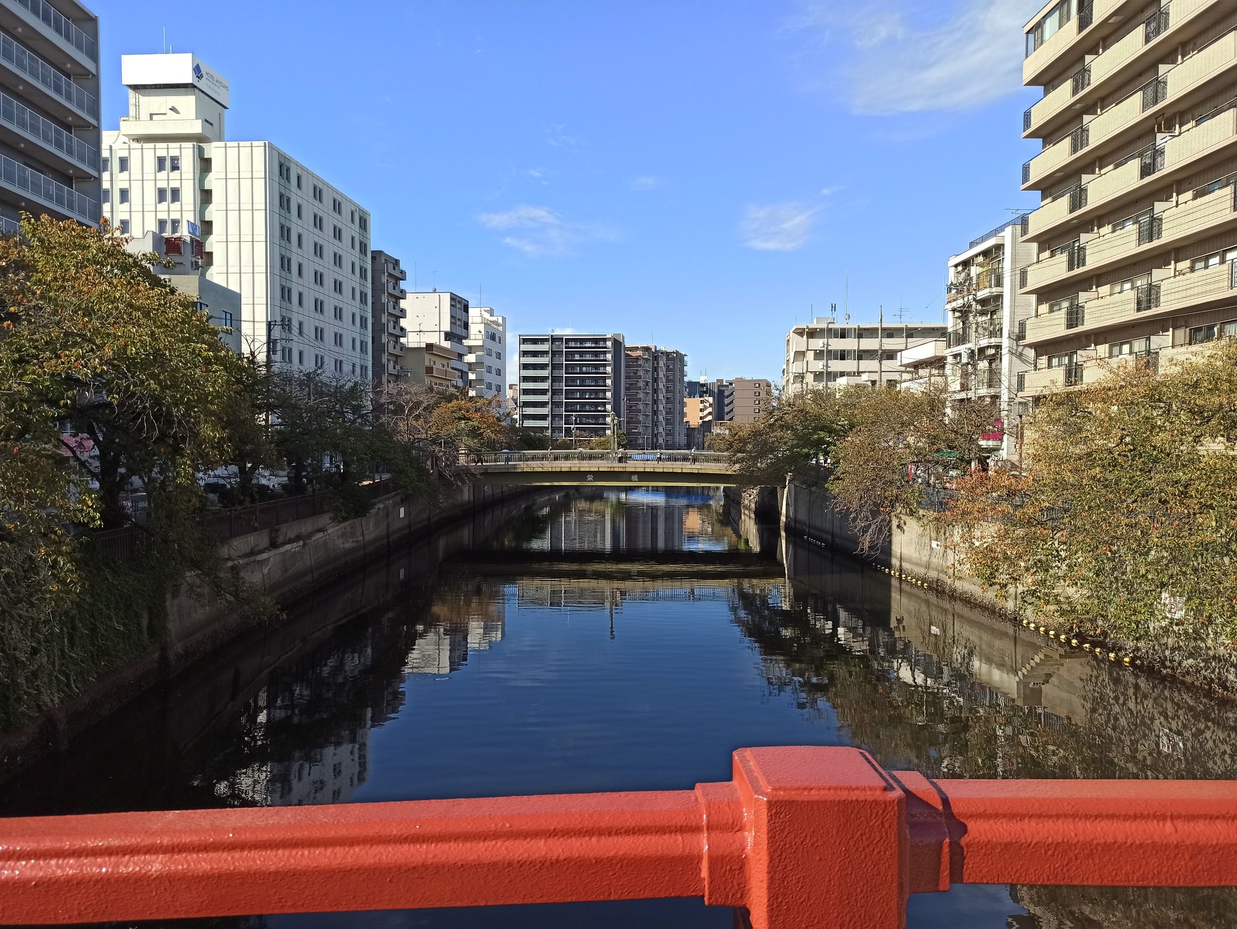 00480.jpg
