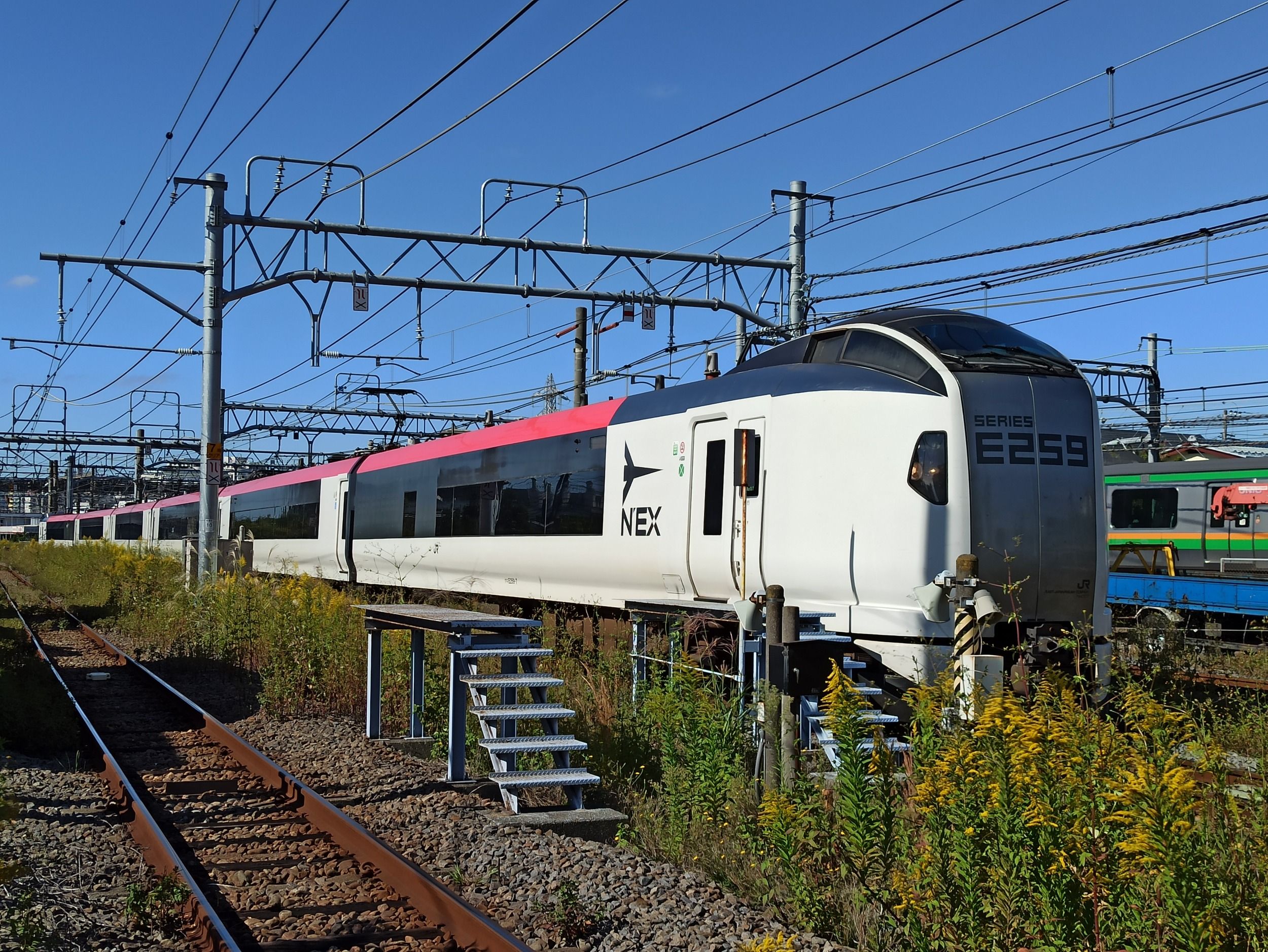 00641.jpg