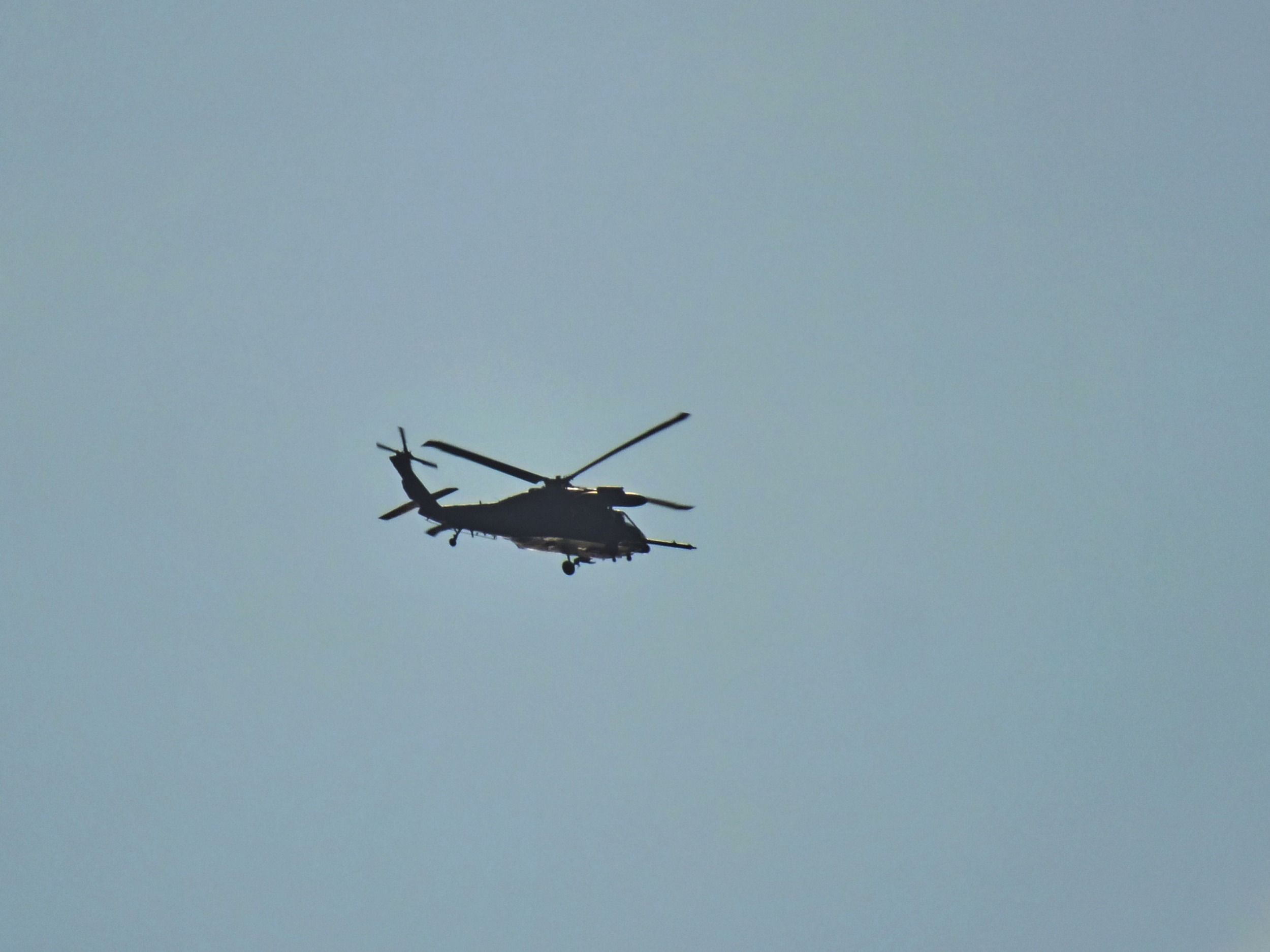 00748_crop.jpg