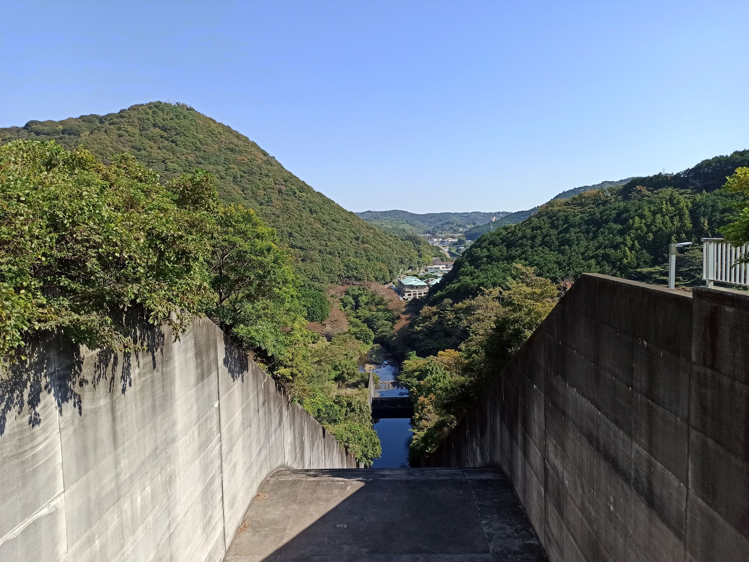 01073.jpg