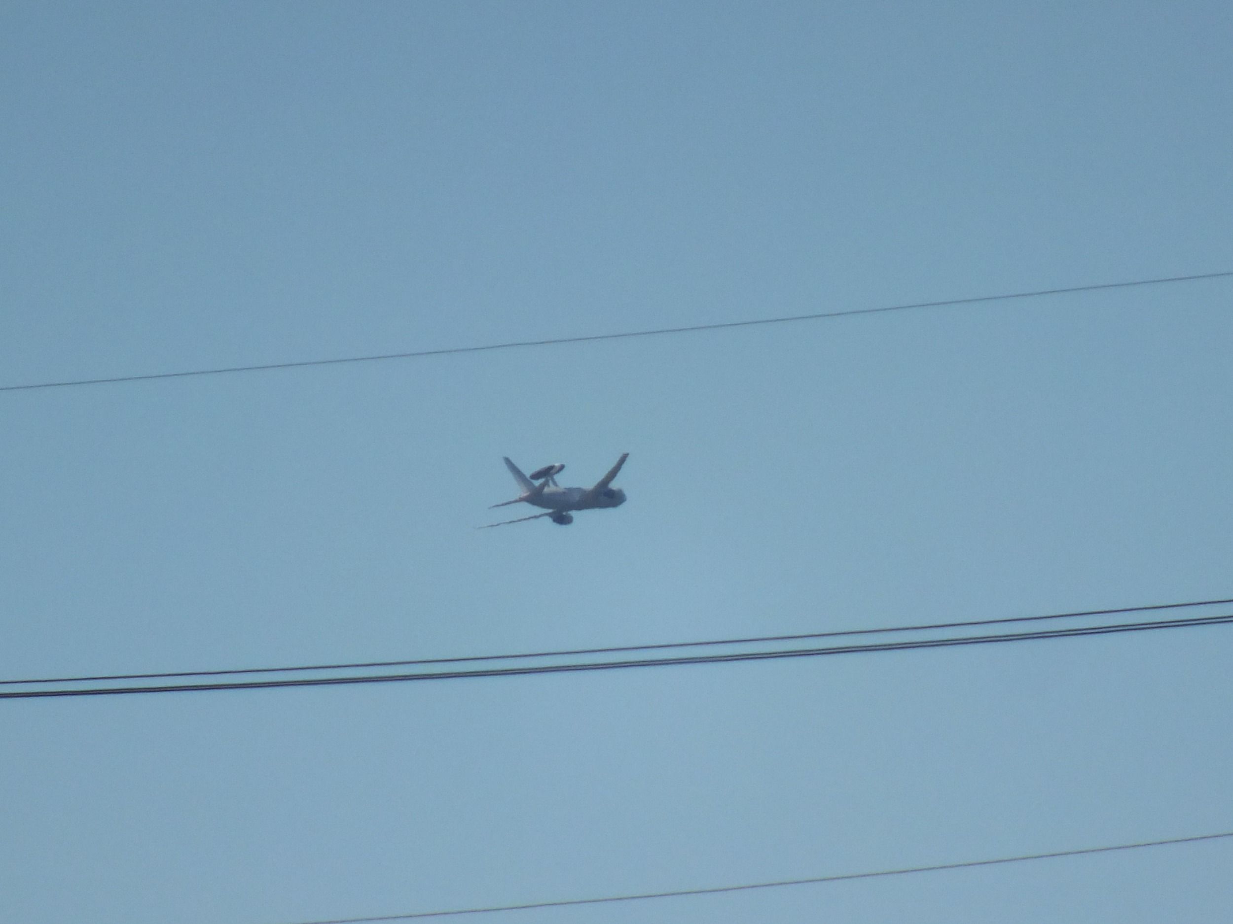 01476_crop.jpg