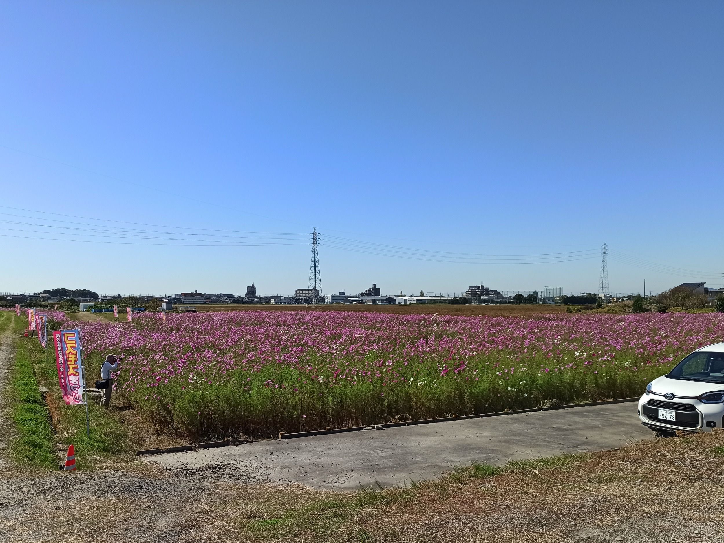 01600_crop.jpg