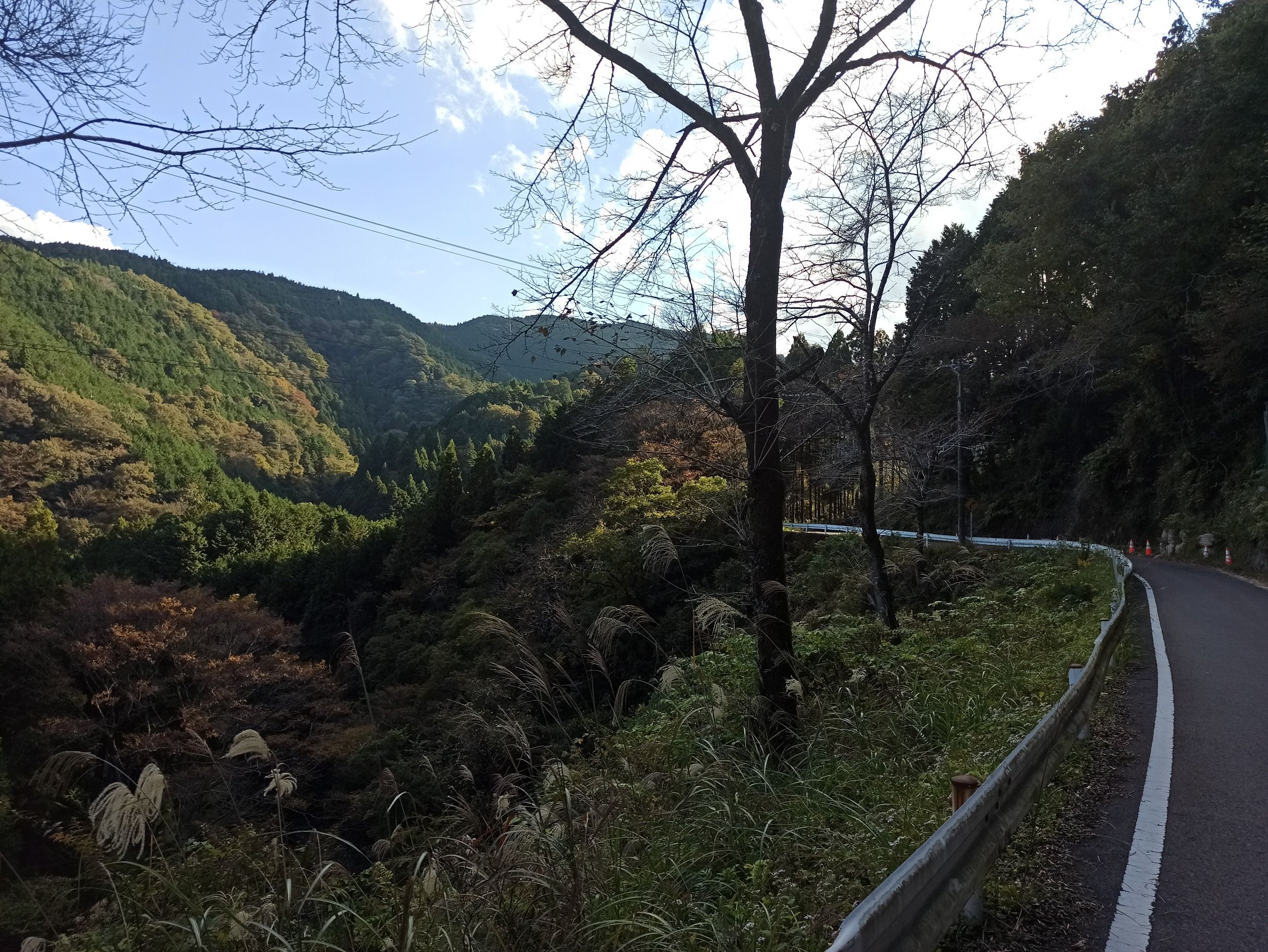 01665.jpg