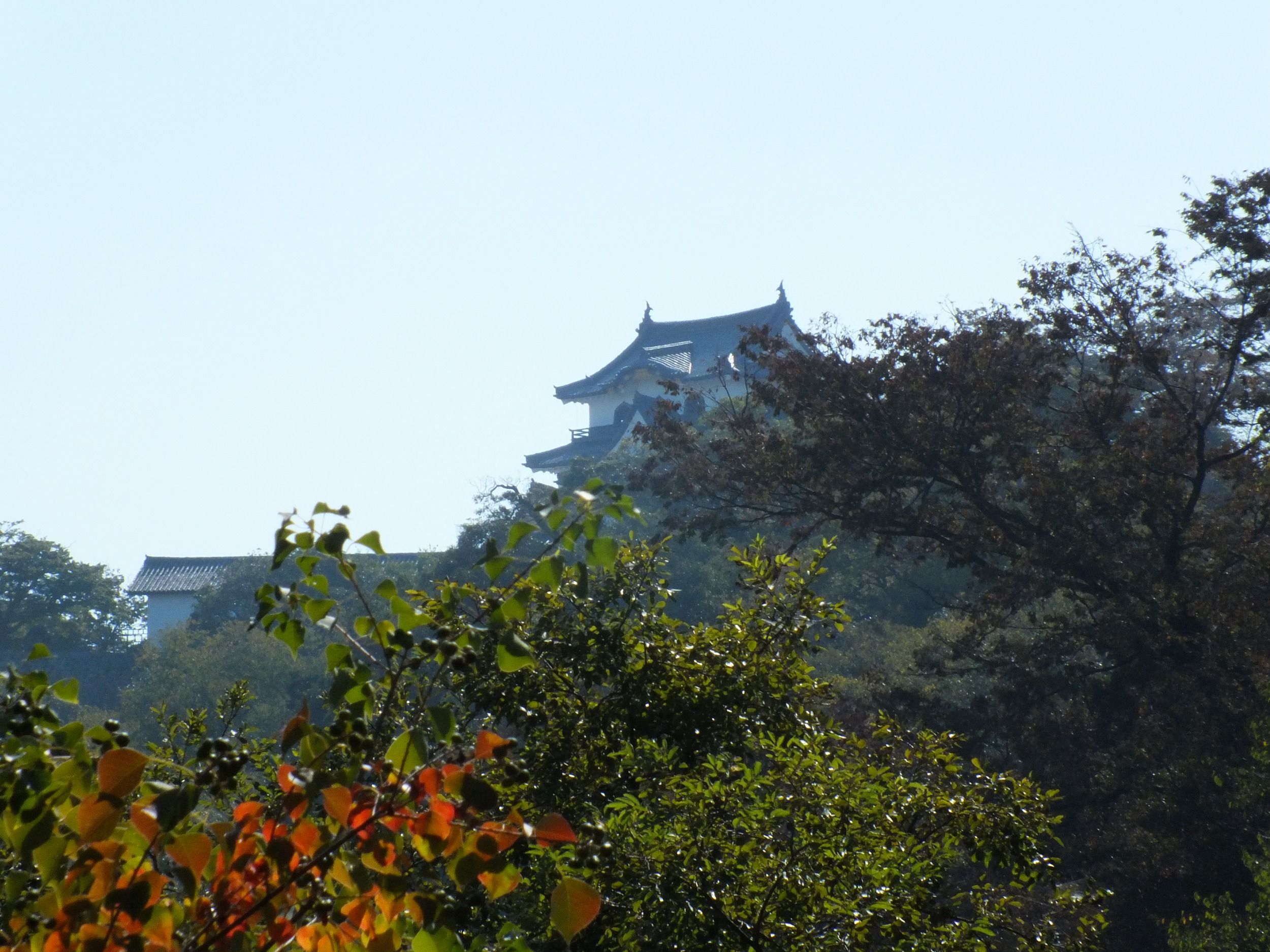 01718.jpg