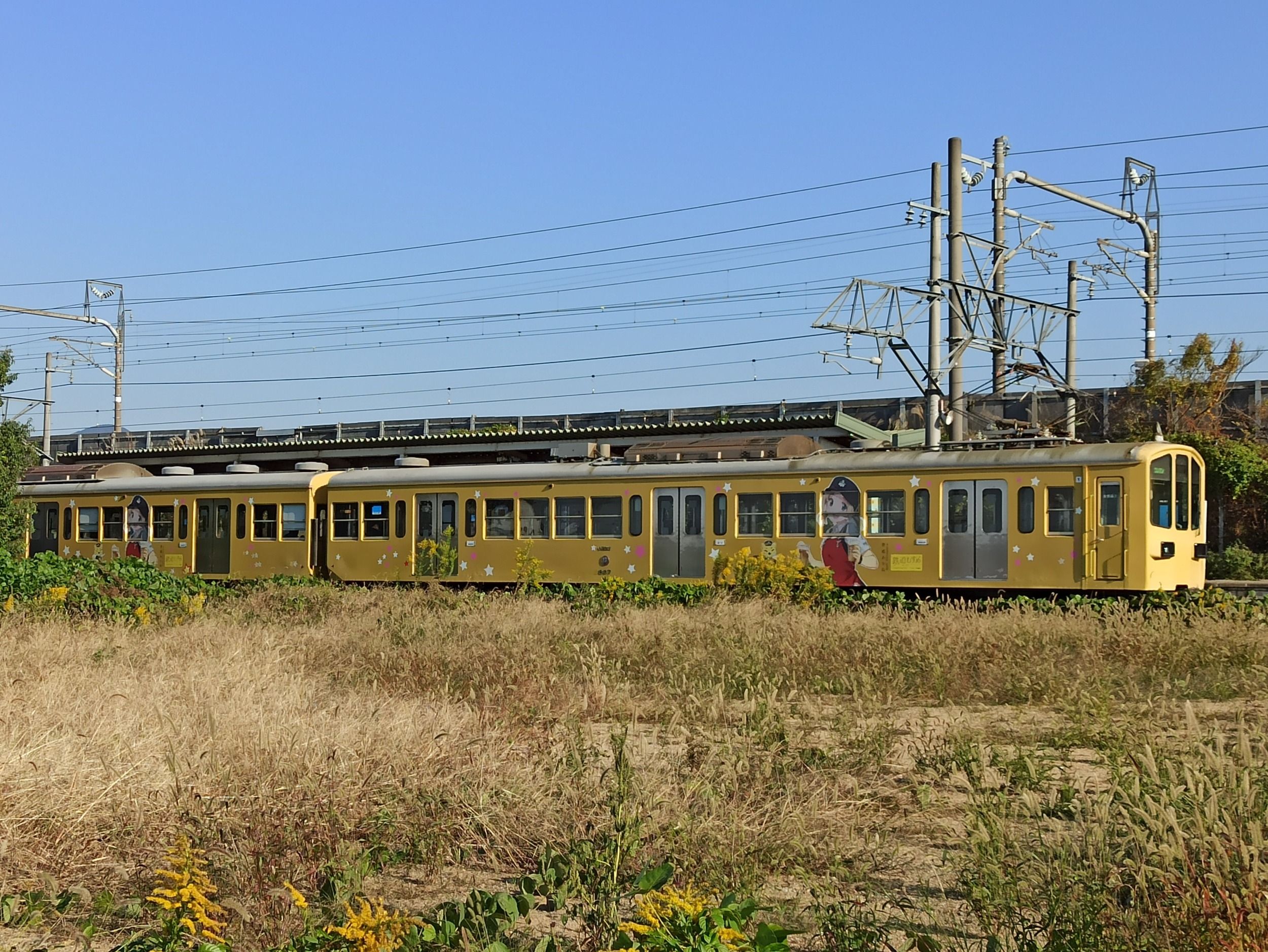 01754_crop.jpg