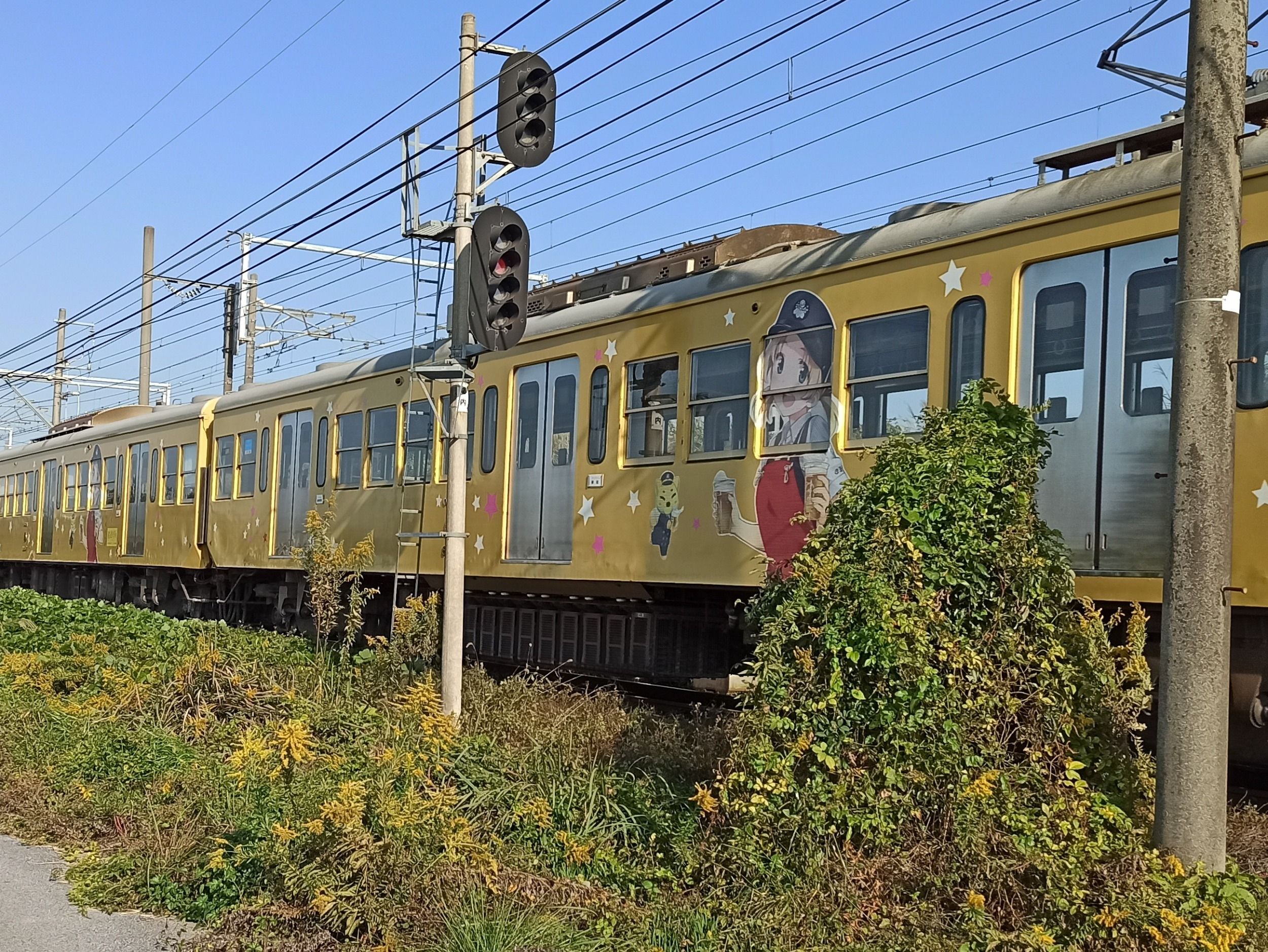 01753_crop.jpg