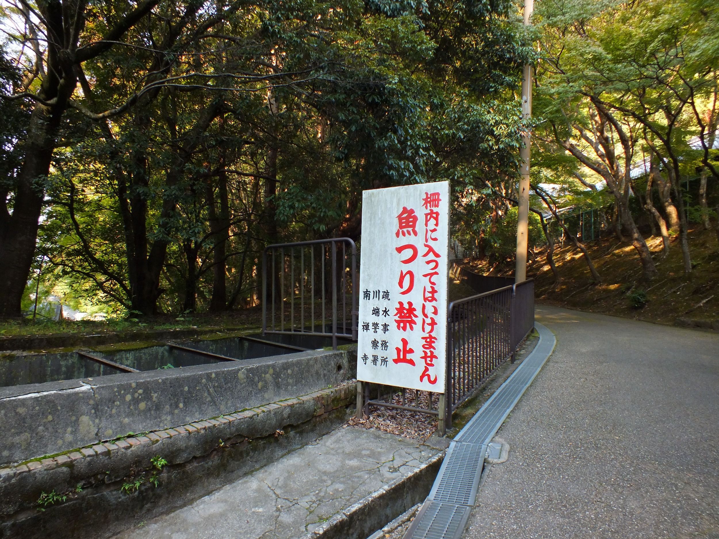 01867.jpg