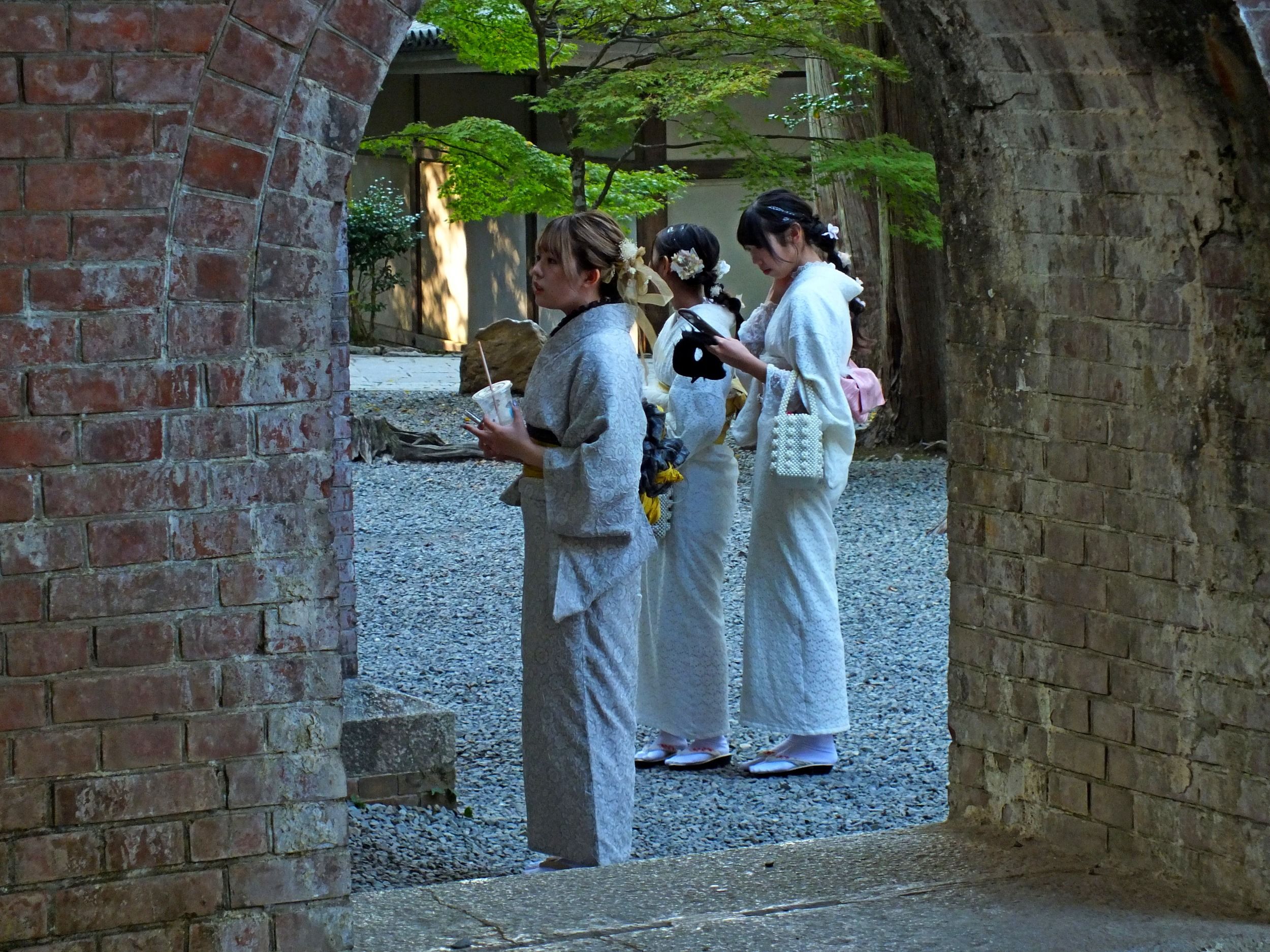 01868.jpg