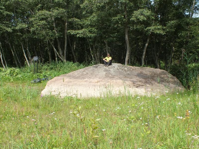 DSCF7953.jpg