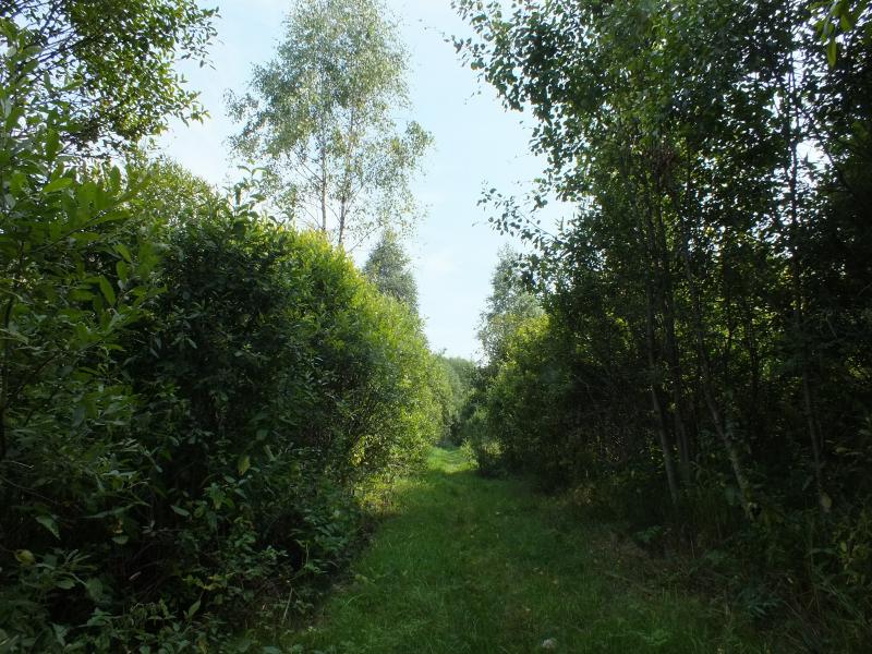 DSCF7977.jpg