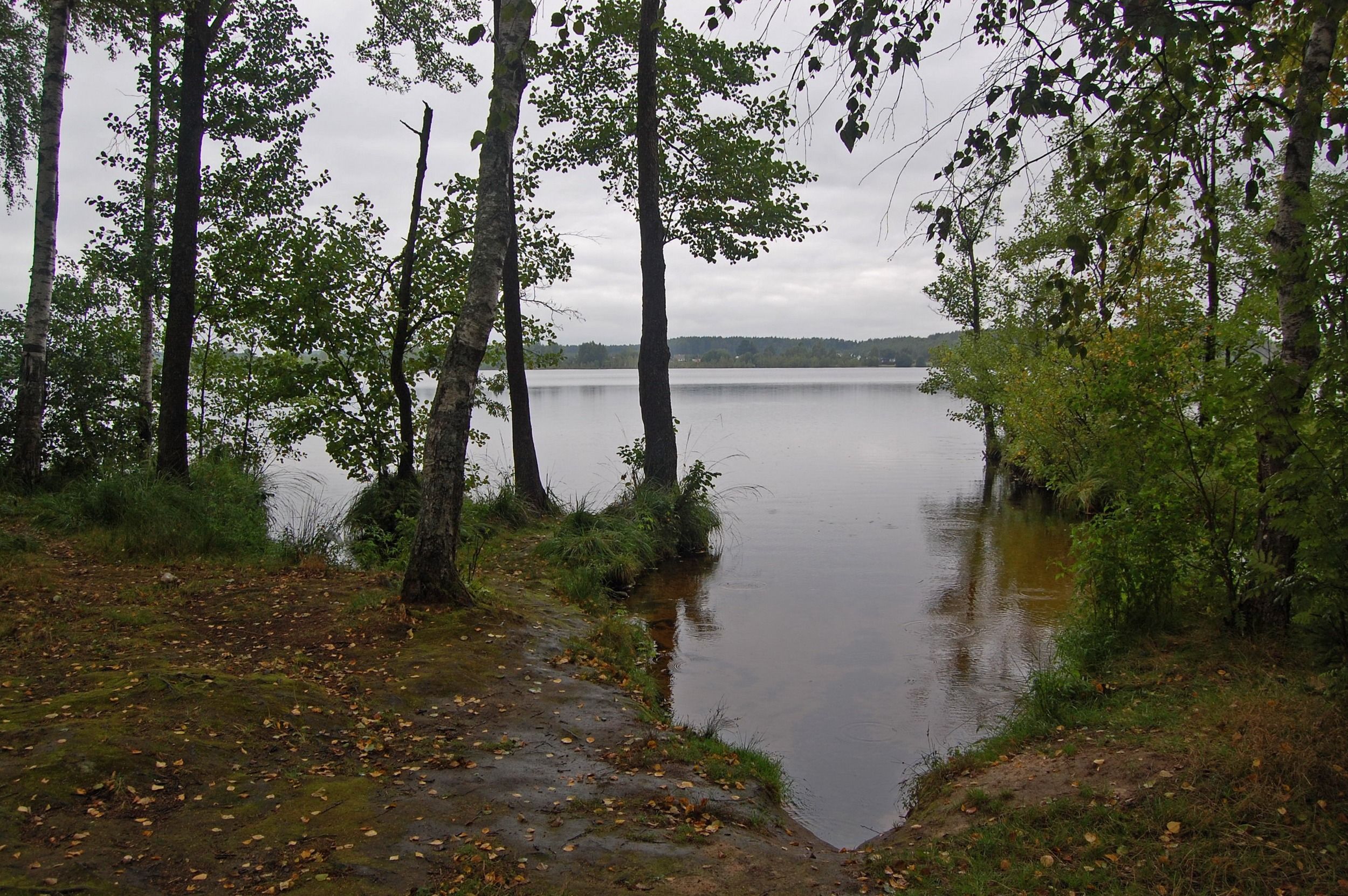 Dlb20-D456_otch_31.JPG