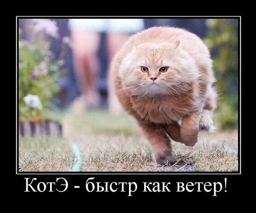 123-veter.jpg