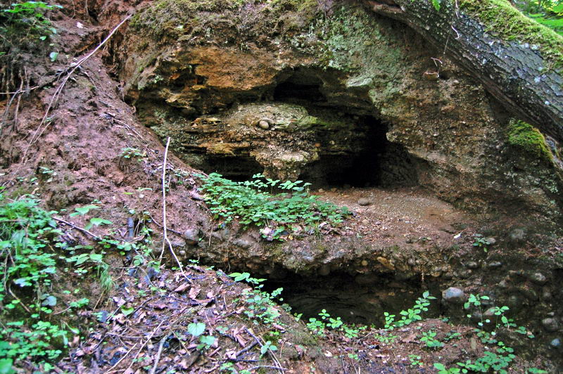 Болотная пещера