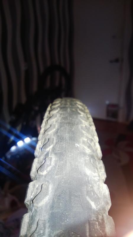 WP_20140829_025.jpg